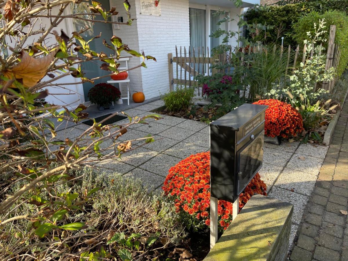Guesthouse Poppies , Free Parking Οστένδη Εξωτερικό φωτογραφία